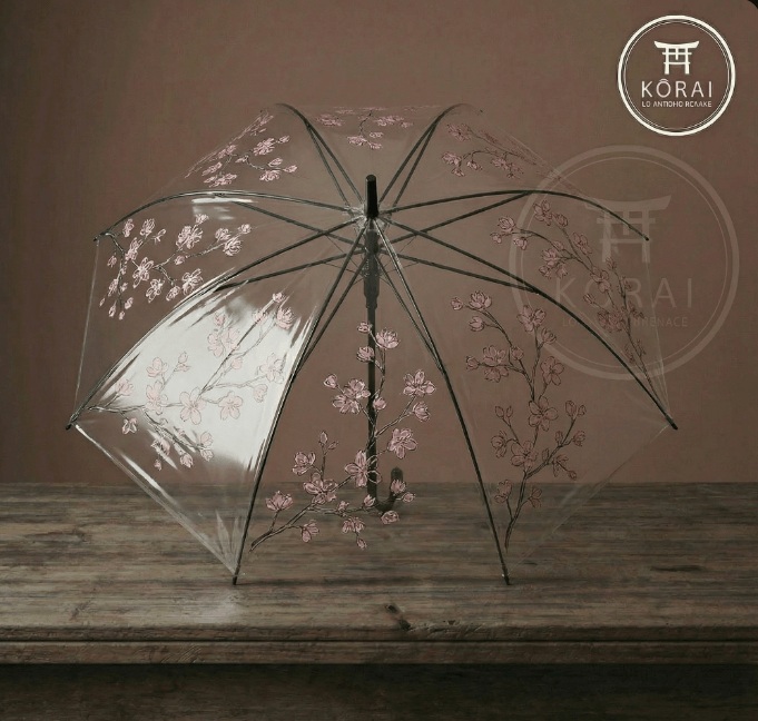 Paraguas transparentes tipo konbini